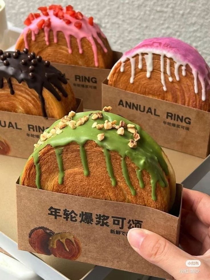 Khi Cô Giáo Có Bình Luận Trực Tiếp Làm Trợ Lý